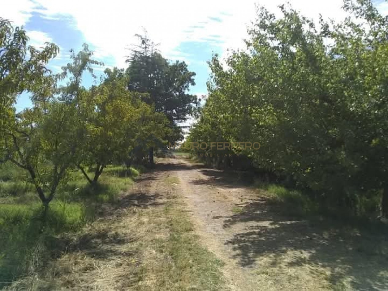 Finca Calle 16 y G